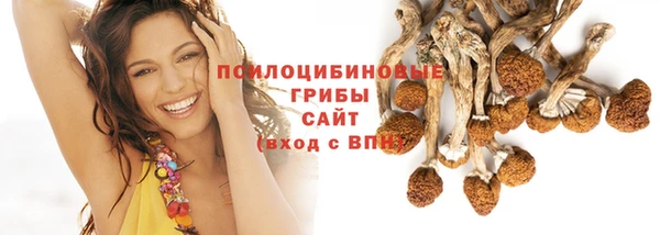ECSTASY Осинники