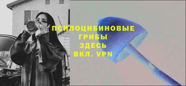 мдпв Осташков