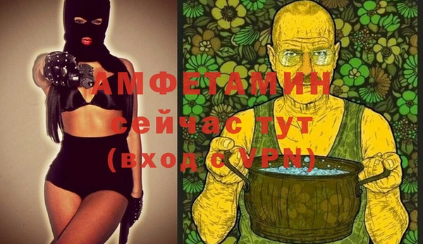 мдпв Осташков